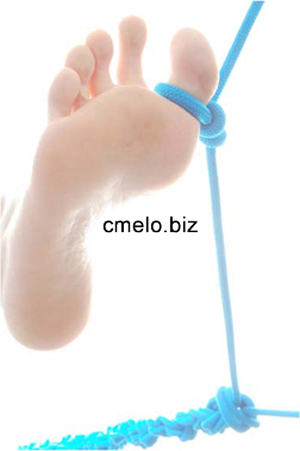 cmelo 101